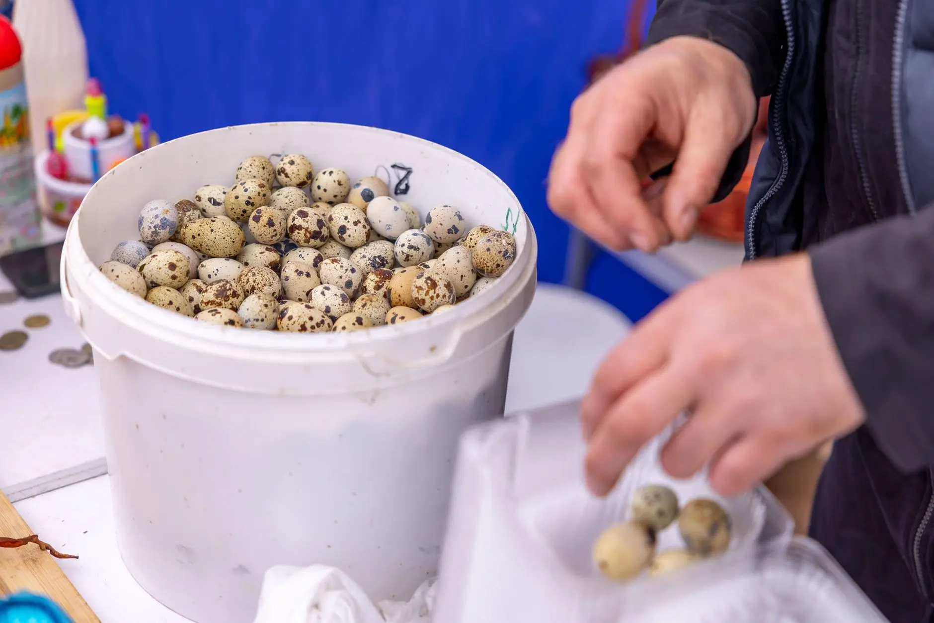 成都商铺监控摄像头选型与硬盘录像机搭配方案解析